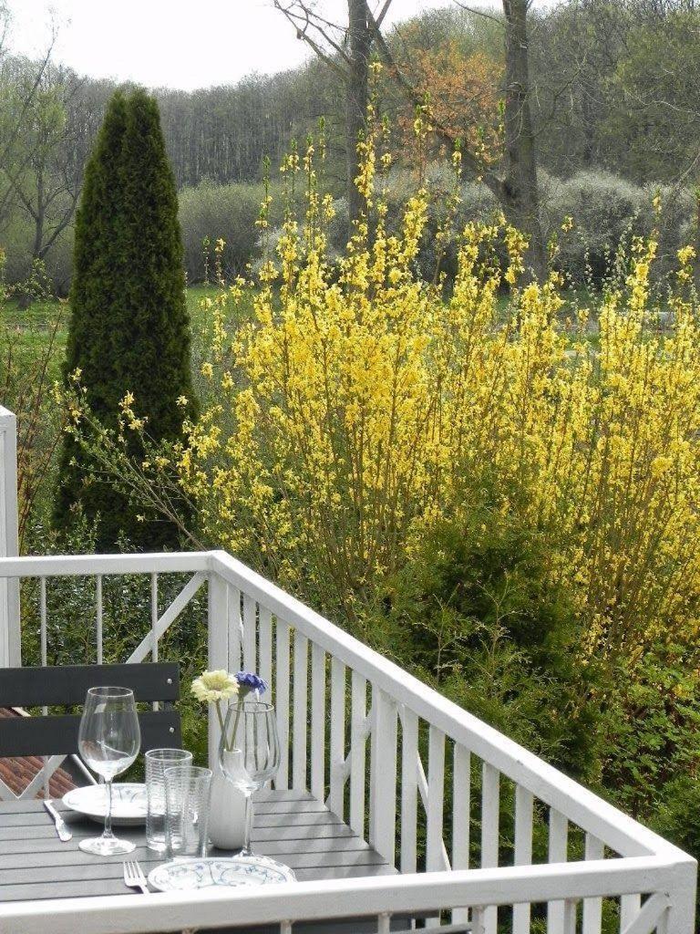 Ferienwohnung-Nils-Holgerson-Mit-Balkon-Zwischen-Strand-Wald-Wiese-Im-Suedosten-Der-Insel-Ruegen Gustow  Exterior photo